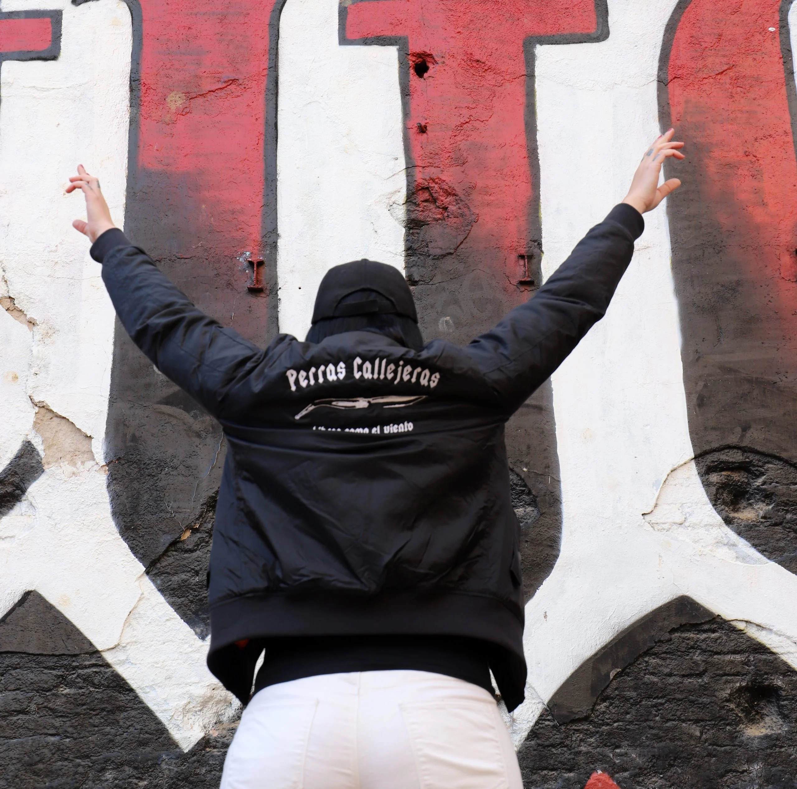 BOMBER DE INVIERNO BORDADA DE PERRAS CALLEJERAS - Image 9