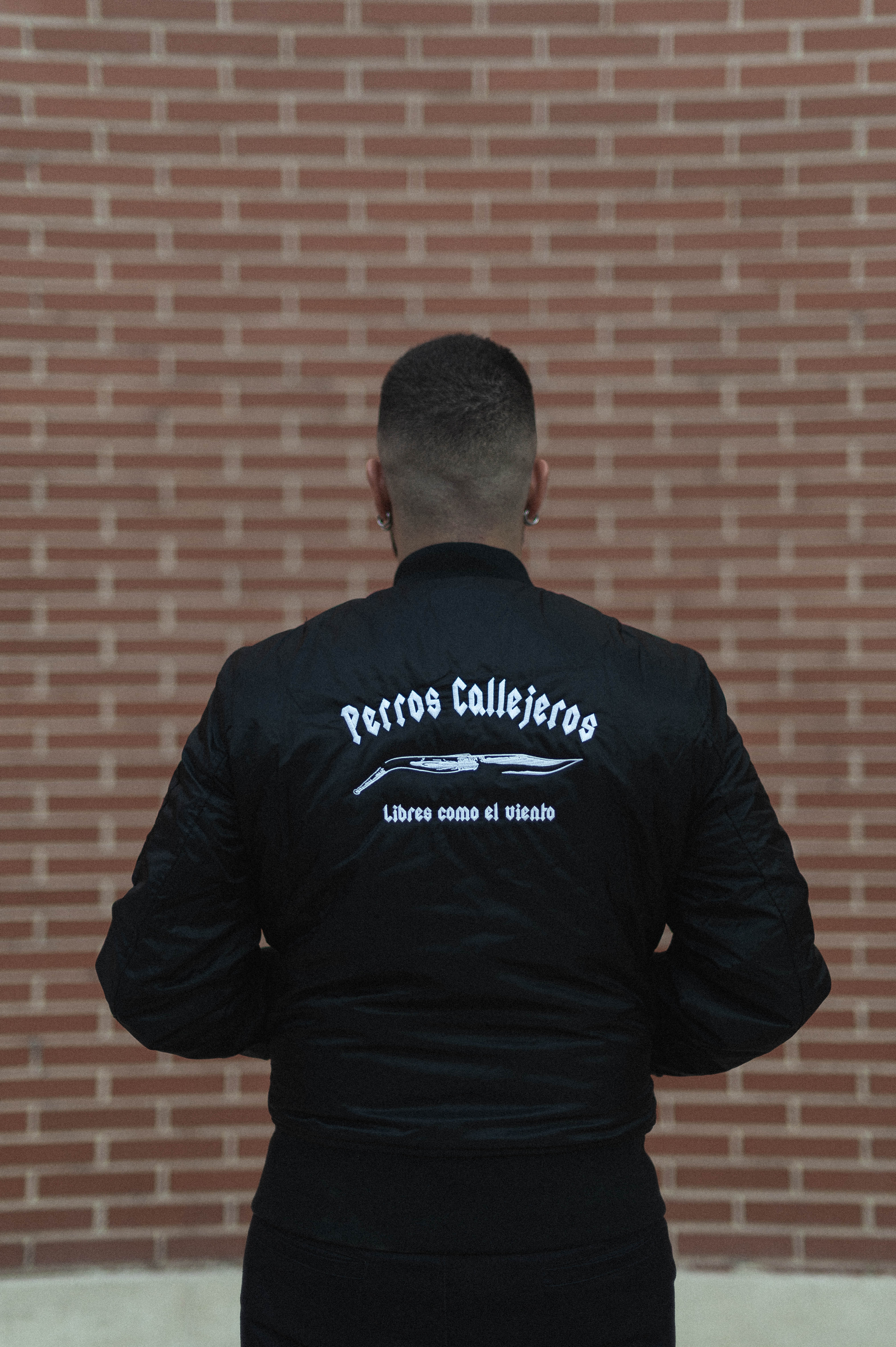 BOMBER NEGRA BORDADO DE PERROS CALLEJEROS - Image 13