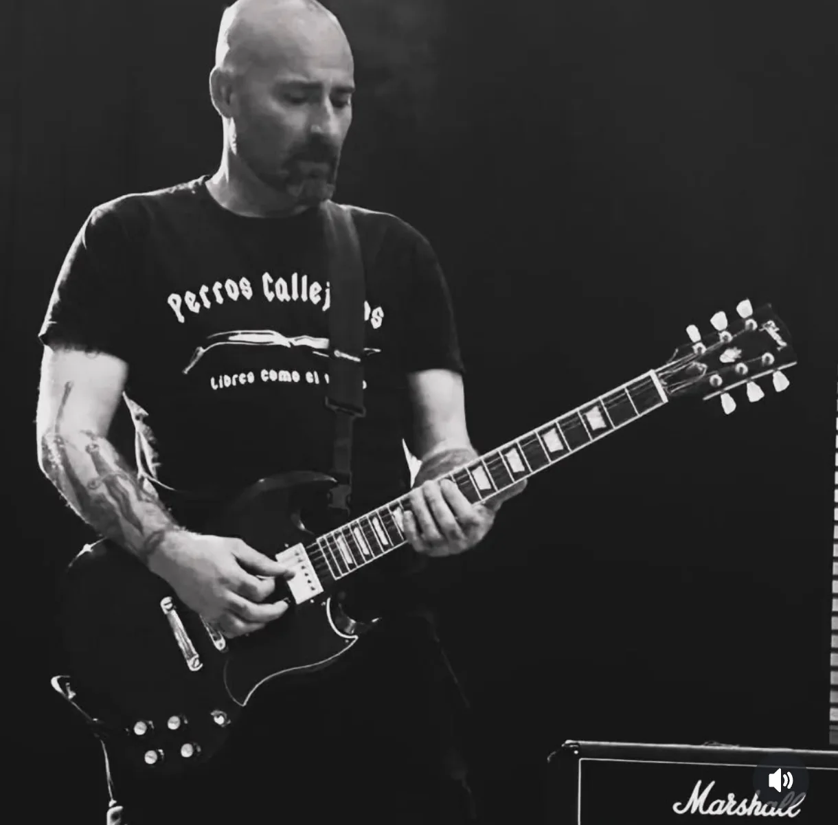 Camiseta Perros Callejeros Clásica - Image 10