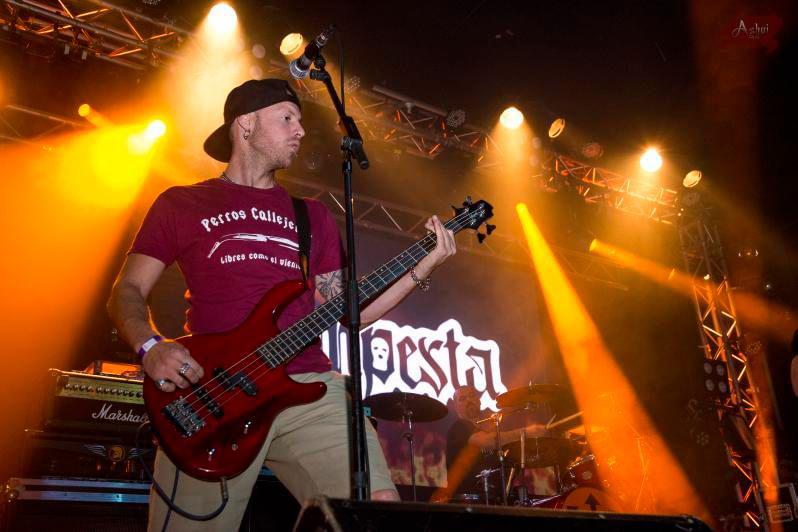 Camiseta Perros Callejeros en Burdeos - Image 5