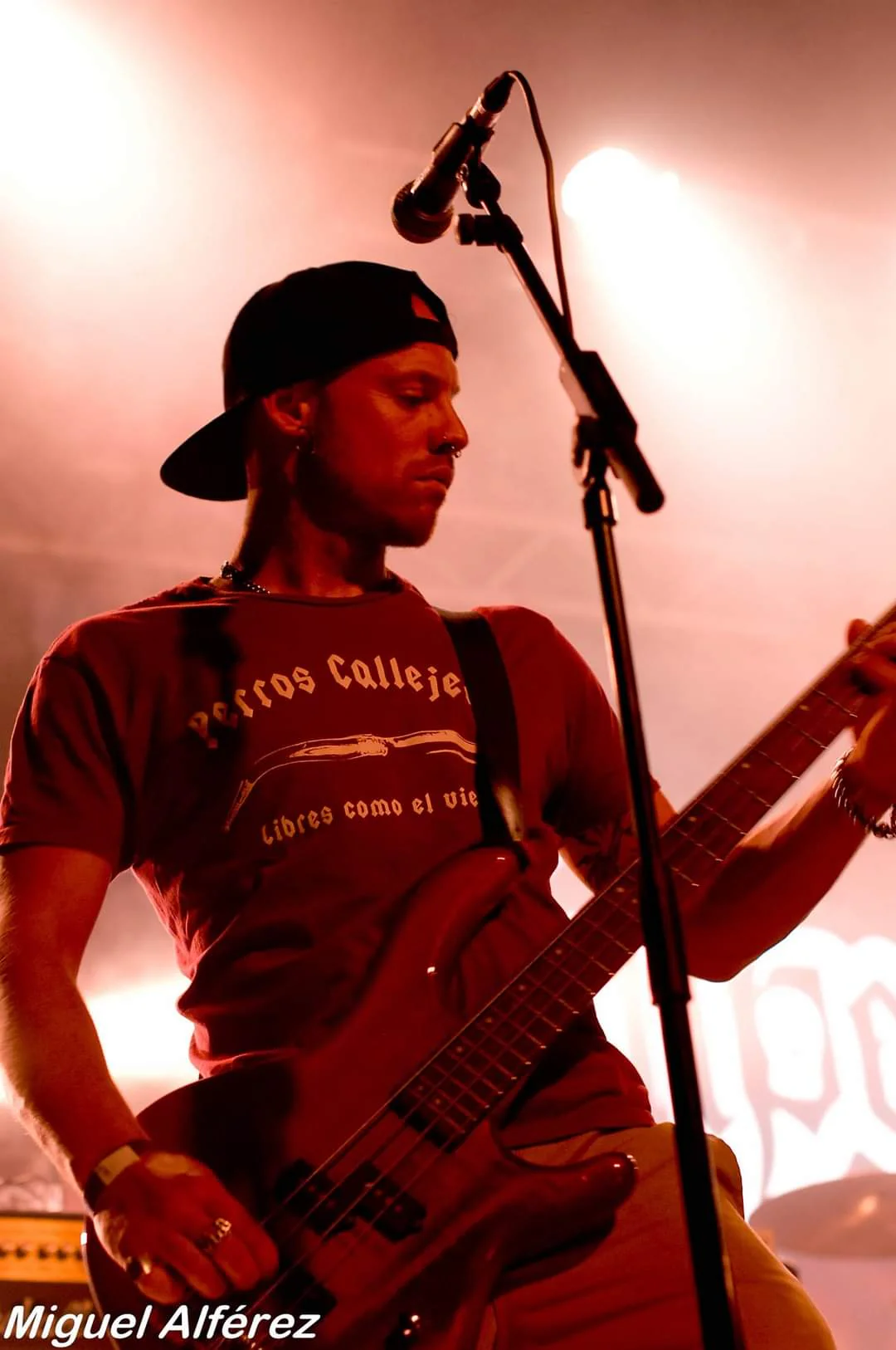 Camiseta Perros Callejeros en Burdeos - Image 6