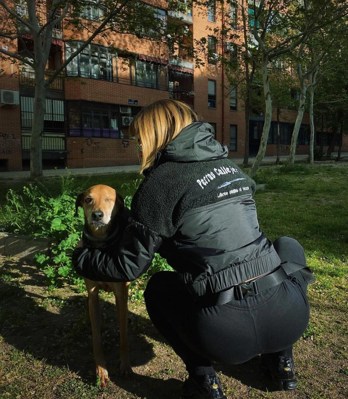 Cazadora La Oveja Negra - Image 7