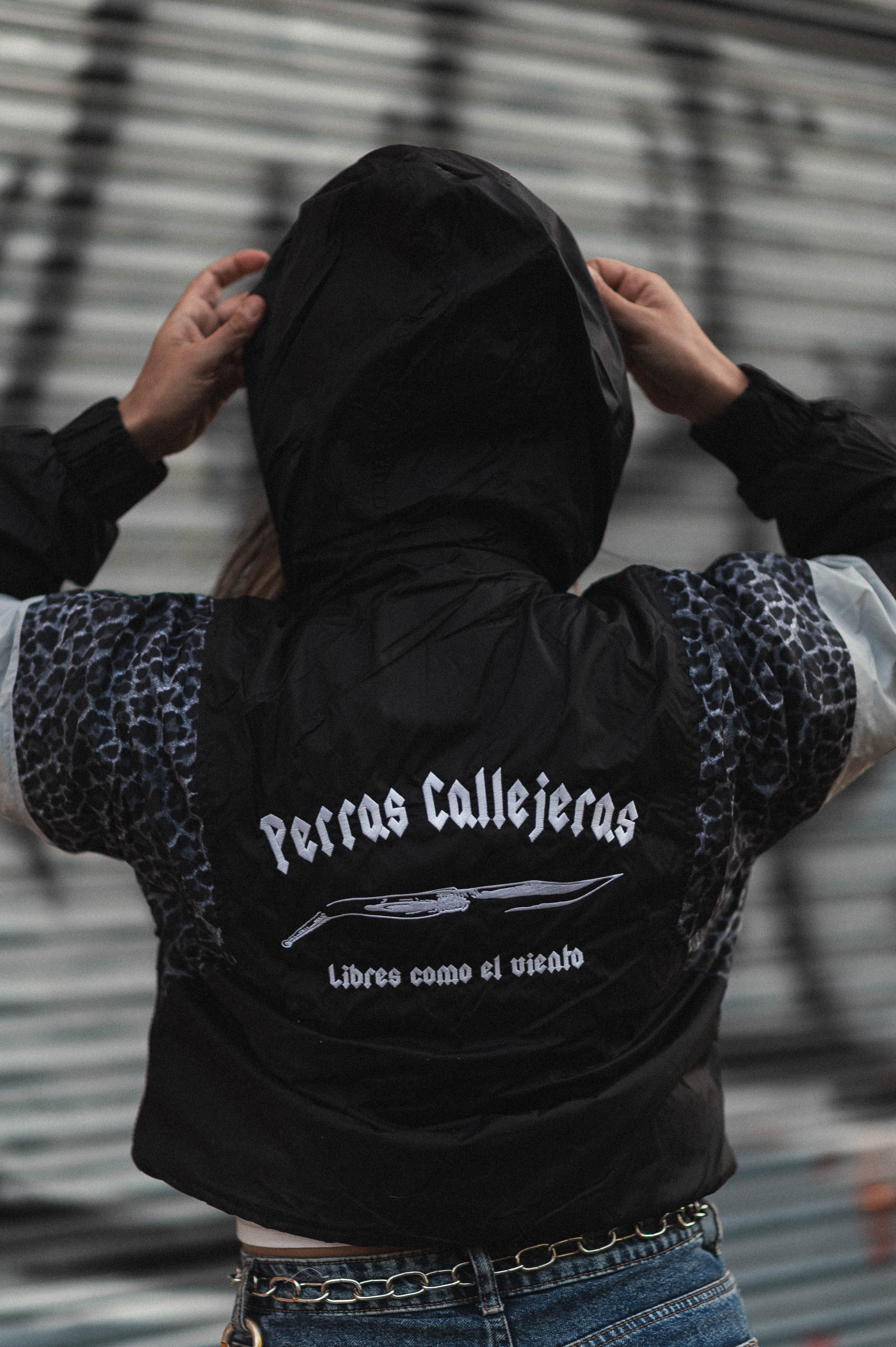 Chaqueta Queen Of The Jungle Black Leopard - Image 6