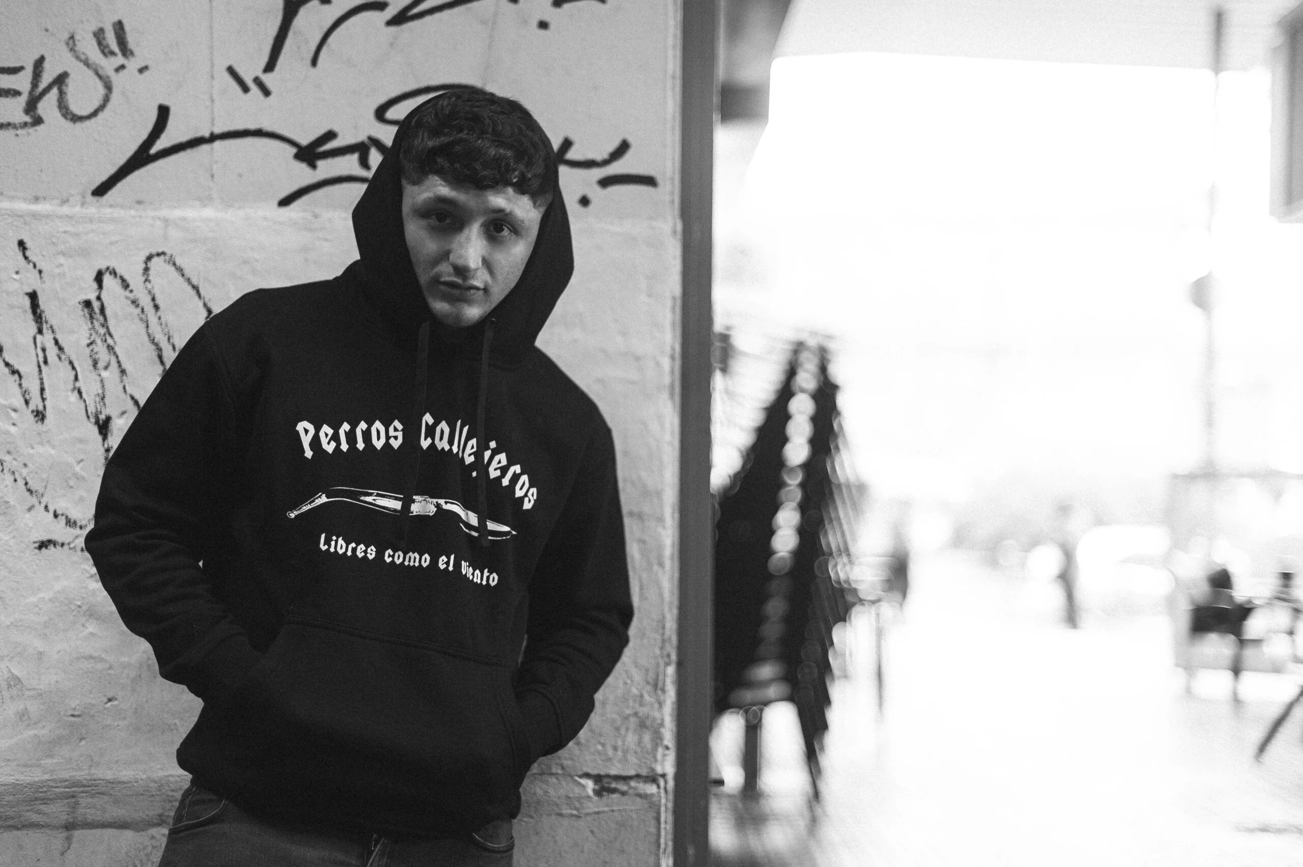 Sudadera Perros Callejeros Capucha - Image 5