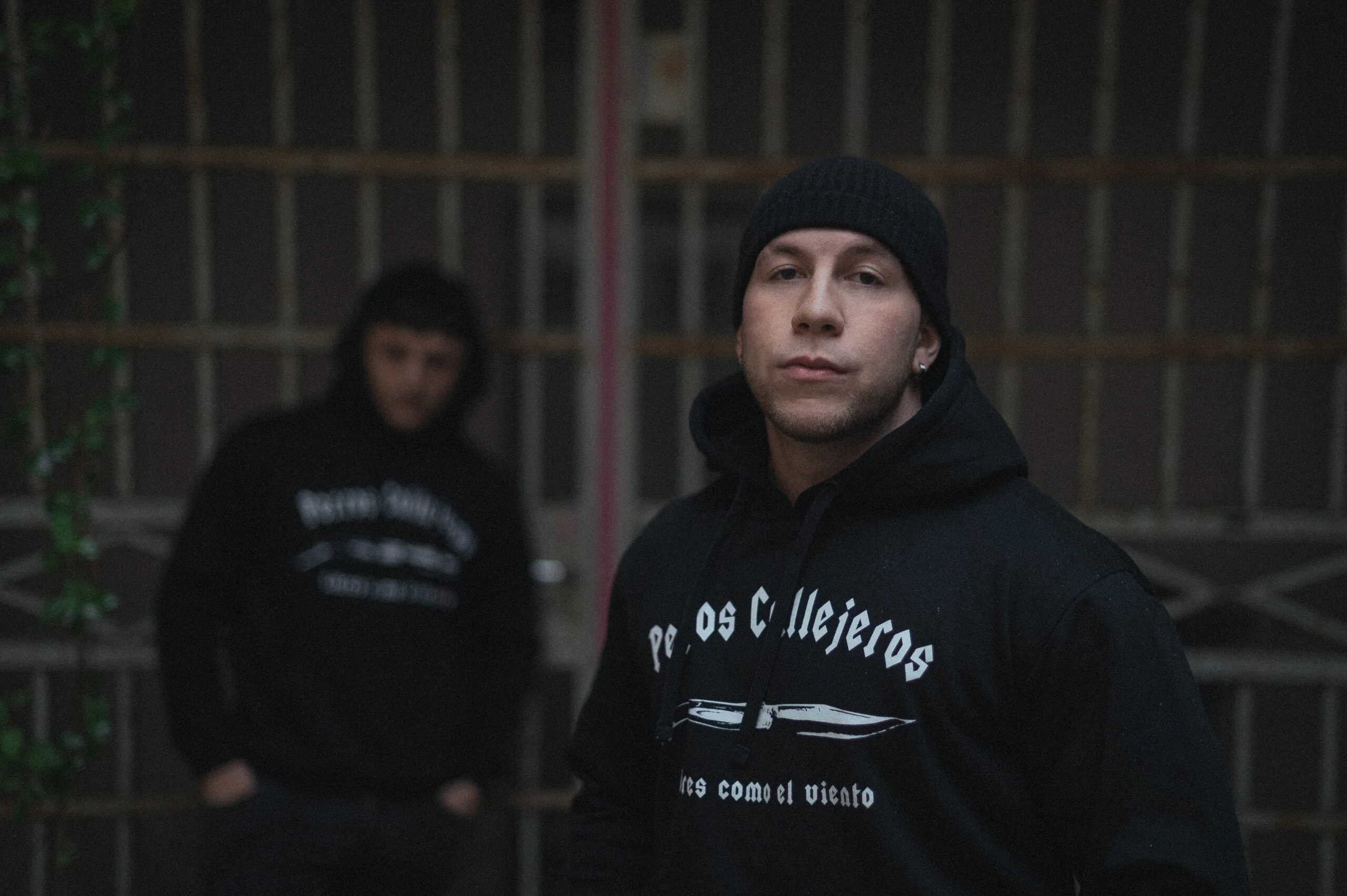 Sudadera Perros Callejeros Capucha - Image 7